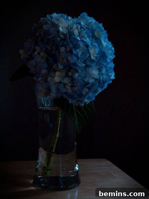 Edited still life photograph with adjustments made in Lightroom, including increased blacks and vignetting.