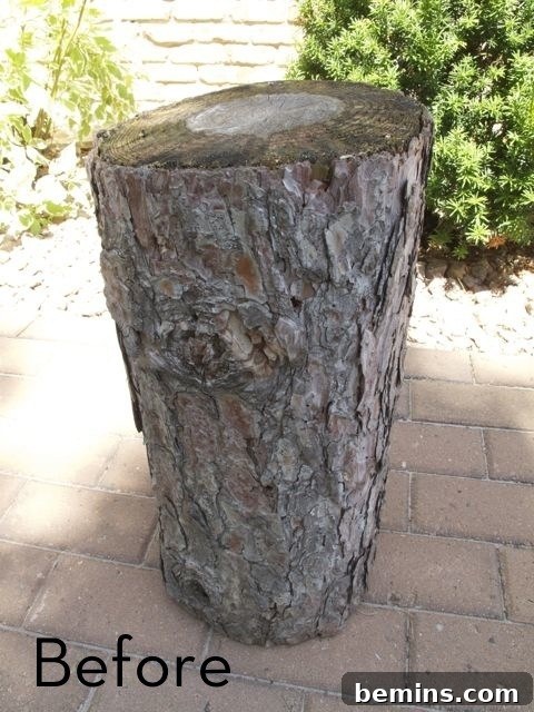 Rustic Log Side Table - Before Transformation