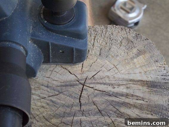 Marking the Log for Leveling