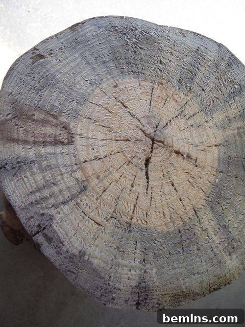 Log After Leveling the Top Surface