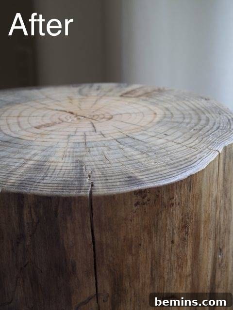 Finished Log Side Table