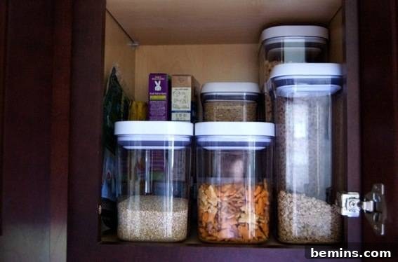 Kitchen Organization Ideas: Maximize Your Space