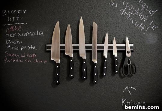 Knives organized on a magnetic strip