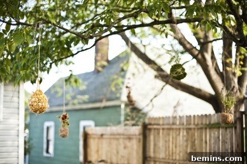 DIY String Garden Project