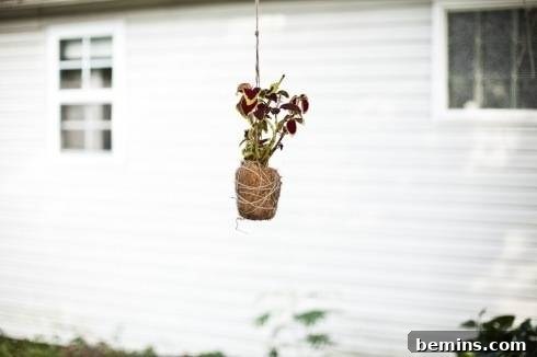 Coconut Husk String Garden