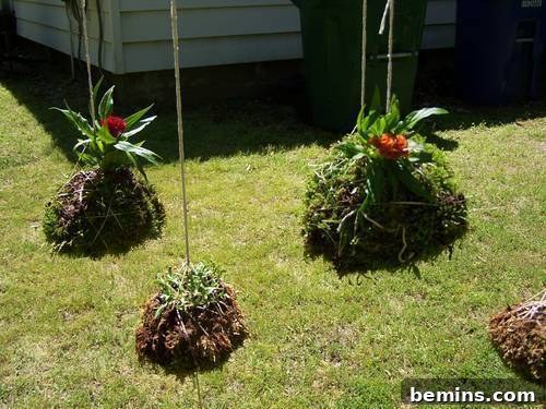 Floral String Garden