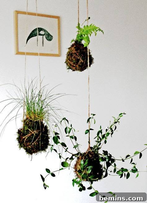 Kokedama String Garden Tutorial