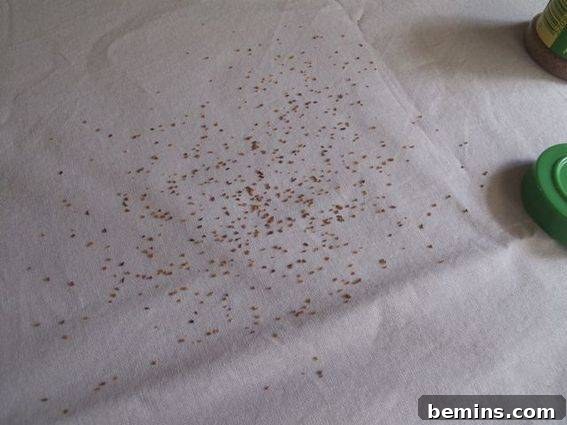 Nutmeg for Corian effect