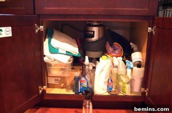 A cluttered under-sink cabinet filled with cleaning supplies and various containers.