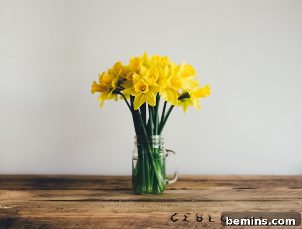 Olive oil uses - furniture polish