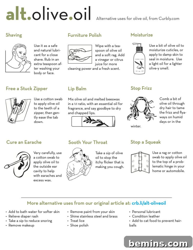 olive oil cheat sheet