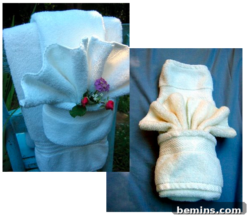 Fancy Towel Art 2 Elegant Hand Towel with Decorative Pocket