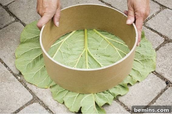 A garden pathway featuring multiple leaf-imprinted stepping stones