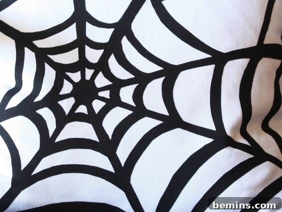 Finished Spider Web Pillow
