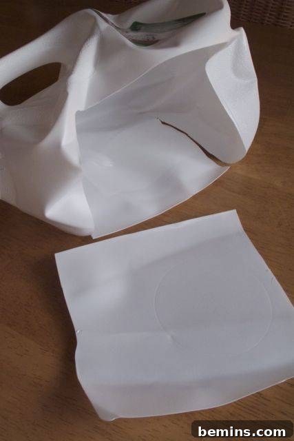 Cut milk jug