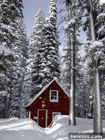 Red Cabin in Snow: A Cozy Winter Retreat