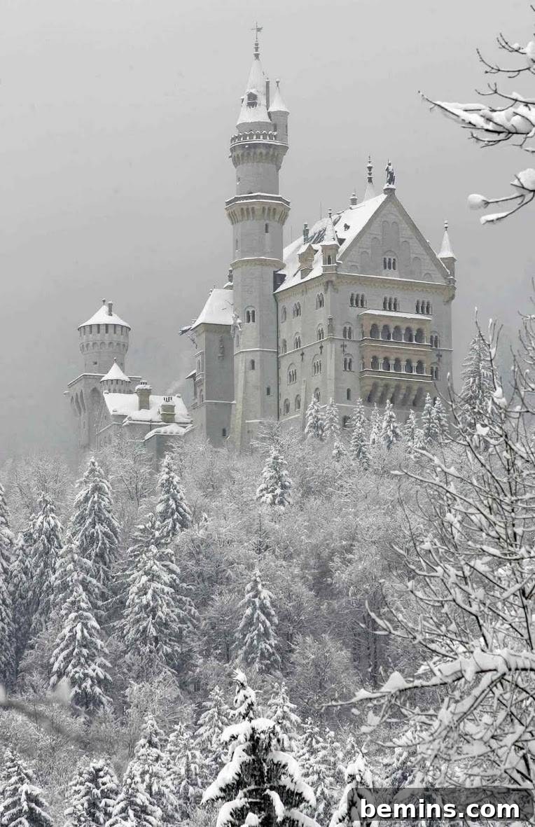 Neuschwanstein Castle in Snow: A Fairytale Vision