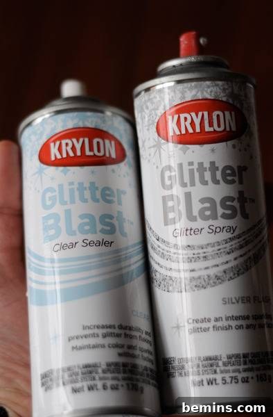 Krylon Glitterblast Spray Paint and Clear Sealer
