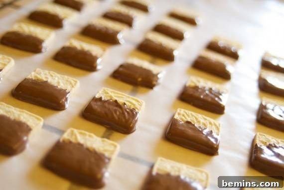 Chocolate-dipped Cookies