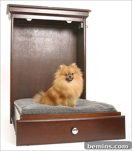 Pet Murphy beds
