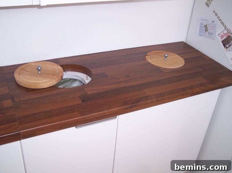 Recycling Bins Under Kitchen Counter