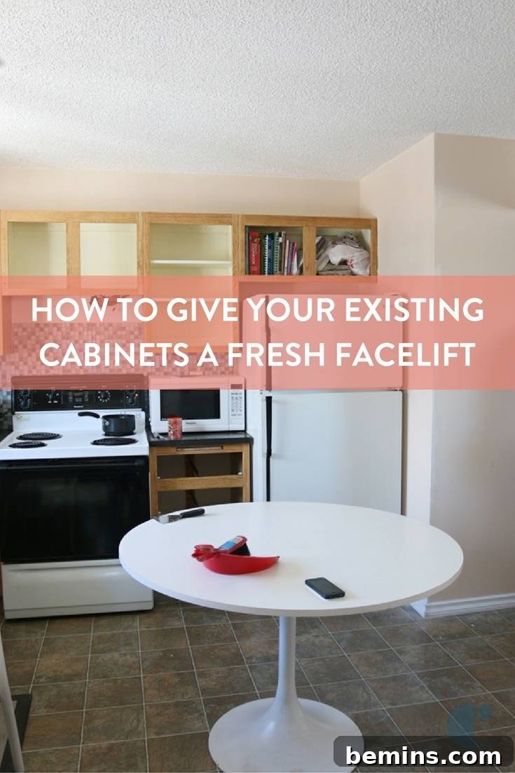 Kitchen cabinets painted a dark color