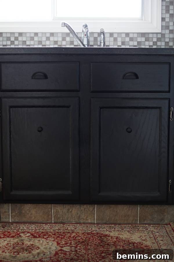 Full kitchen reveal with dark cabinets