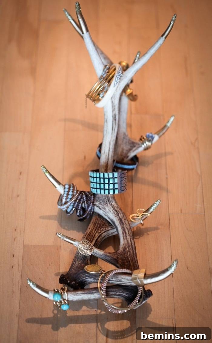 Antler Jewelry Organizer with Gold Tips