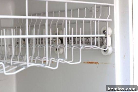 Dishwasher Rust Stains Before Cleaning: Assessing the Challenge