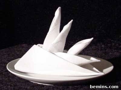Roundup: Six Creative Napkin Flower Ideas 3 Bird of Paradise napkin fold