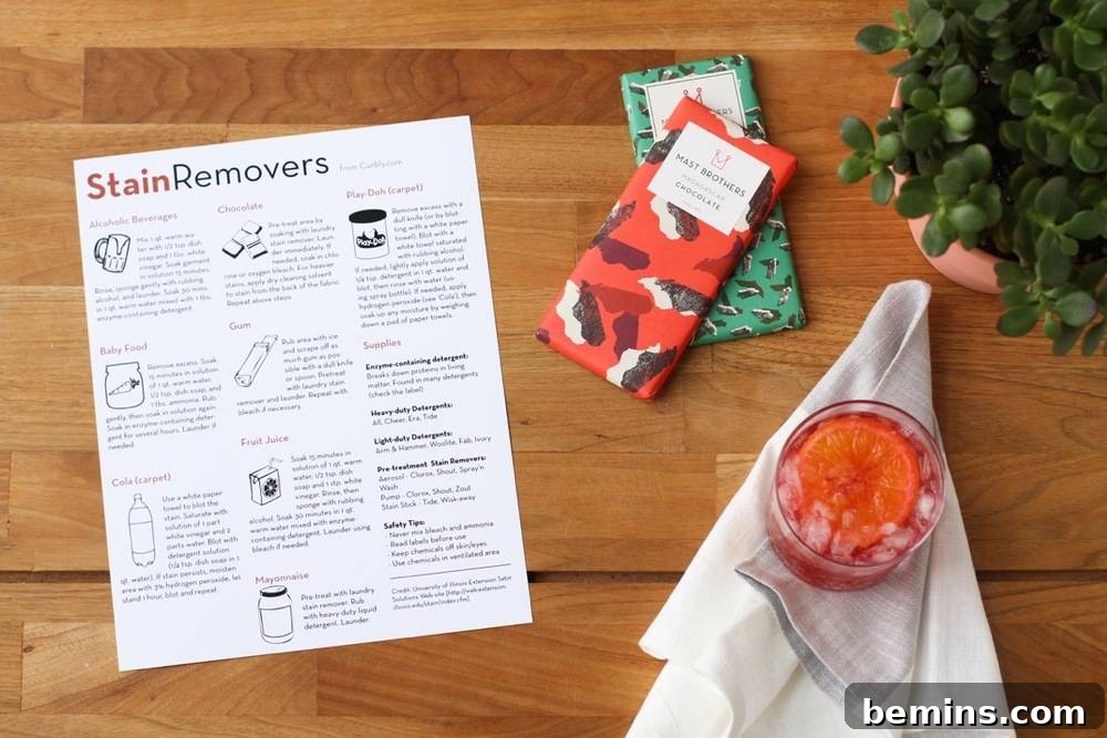Printout of the stain remover cheat sheet, showcasing easy-to-follow stain removal tips.