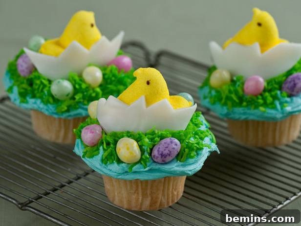 Chick and Egg Cupcake Recipe