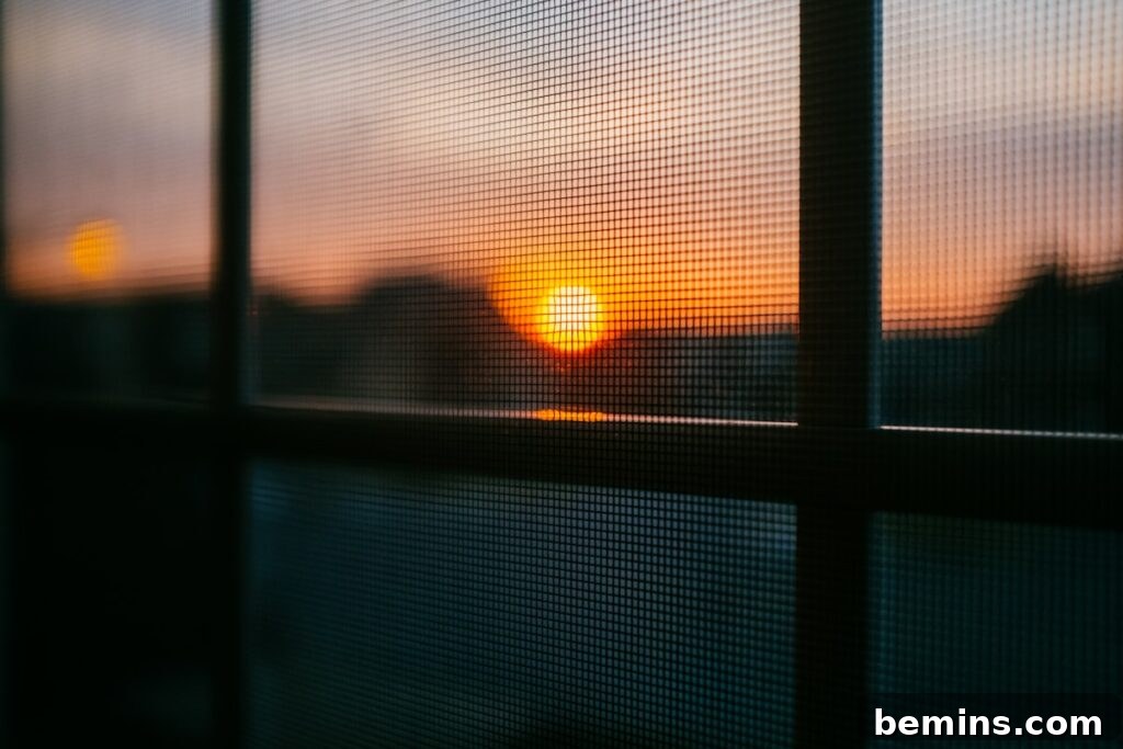 Close up of cleaning window screens, demonstrating proper technique