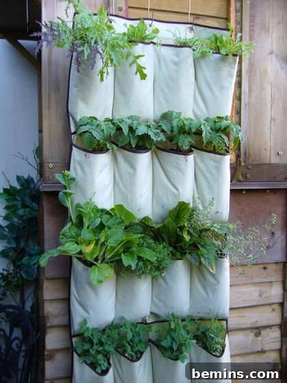 8 Ingenious DIY Garden Ideas for Compact Spaces 5 Hanging pocket shoe organizer ingeniously repurposed as a compact vertical herb garden by a kitchen door