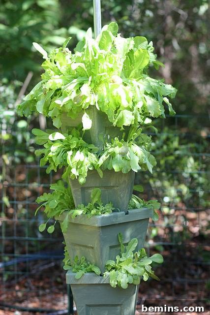8 Ingenious DIY Garden Ideas for Compact Spaces 7 Advanced hydroponic Verti-Gro garden system showcasing healthy, lush plants and a child helping with cultivation