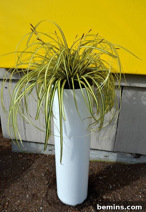 Spring DIY: Modern Pillar Planter Project 3 Problem Area Before DIY Planters
