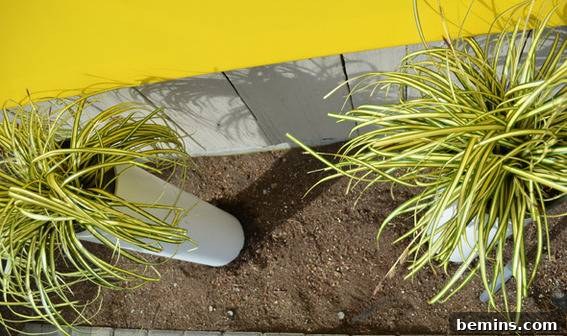 Spring DIY: Modern Pillar Planter Project 4 Finished DIY PVC Pipe Planters