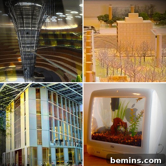 Sustainable Design and Architecture