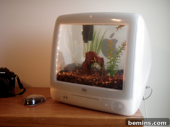 DIY Macquarium - Repurposing Old Apple iMacs into Aquariums