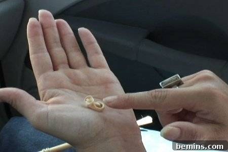 Pointing to a small circular item