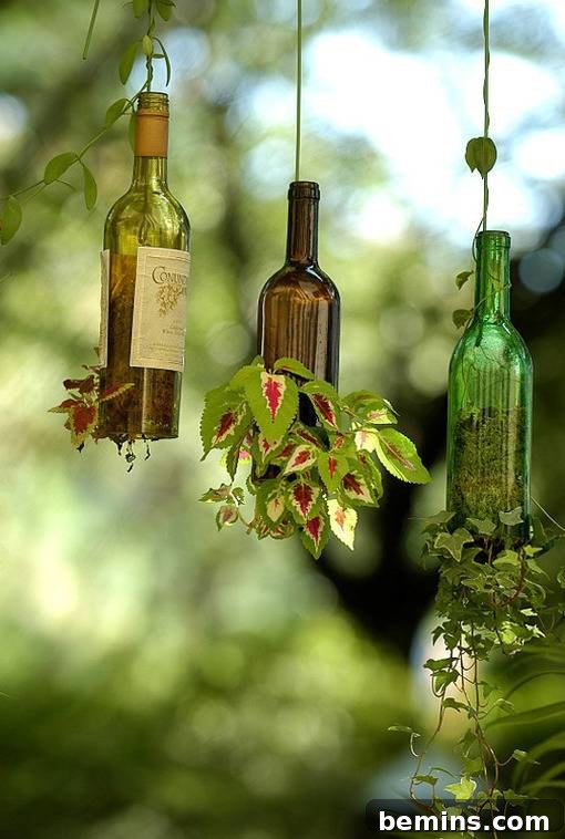 Hanging Wine Bottle Planters