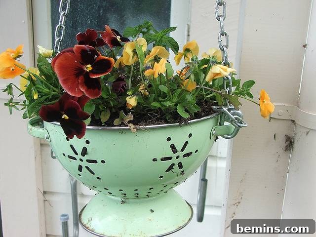 Colander Hanging Planter