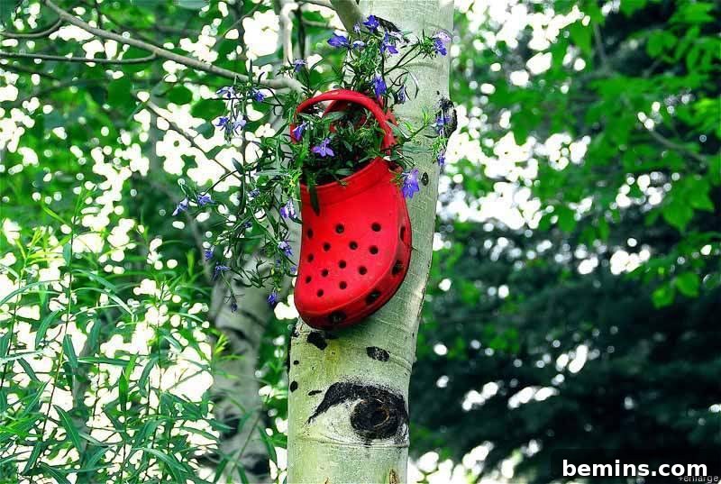 Repurposed Croc Planter