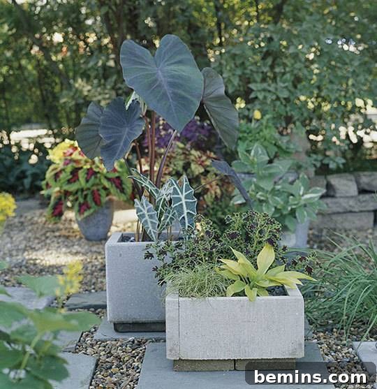 DIY Modern Concrete Planter