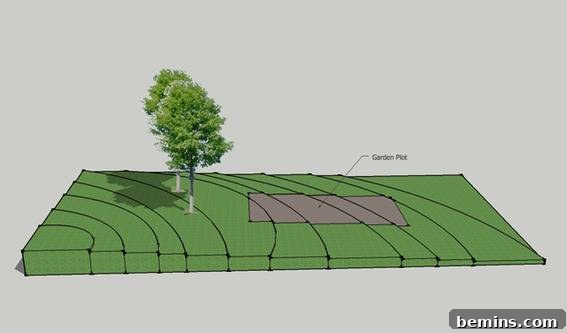 A well-organized garden with clearly defined rows of plants