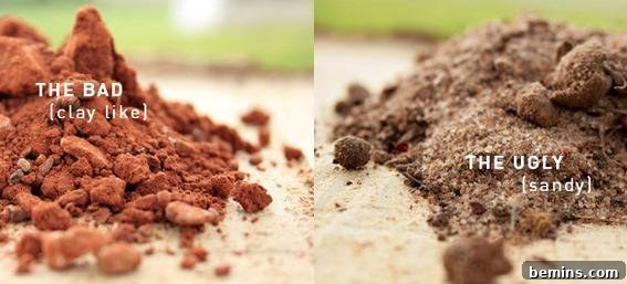 Soil Savvy: A Gardener's Guide to Perfecting Your Plot 4 Close-up of good soil texture