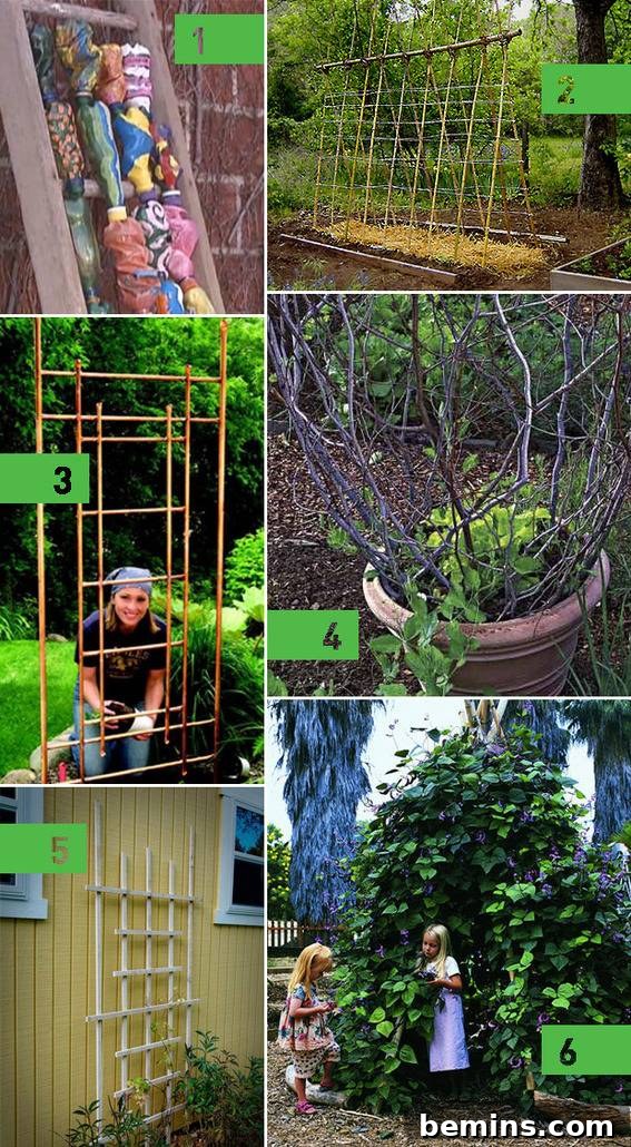 6 Creative DIY Garden Trellis Projects 3 A tall DIY garden trellis