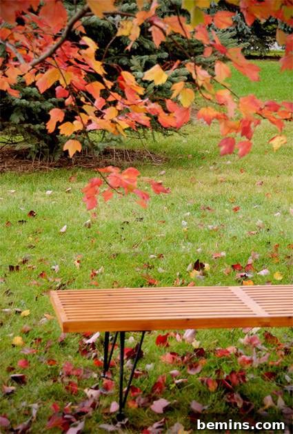 Crafting a Mid-Century Modern Outdoor Slat Bench 3 A beautifully crafted wooden slat bench sits invitingly in a tranquil garden setting.