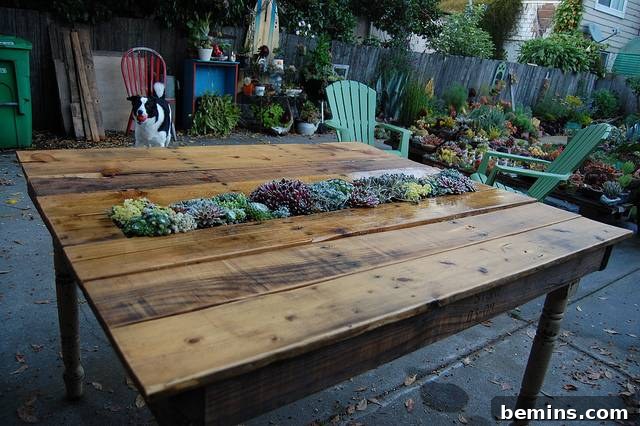 DIY Pallet Succulent Table for a Green Touch