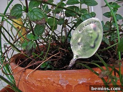 Recycled Can Lid Plant Markers